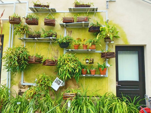 Wiszące kwiaty na p&oacute;łkach