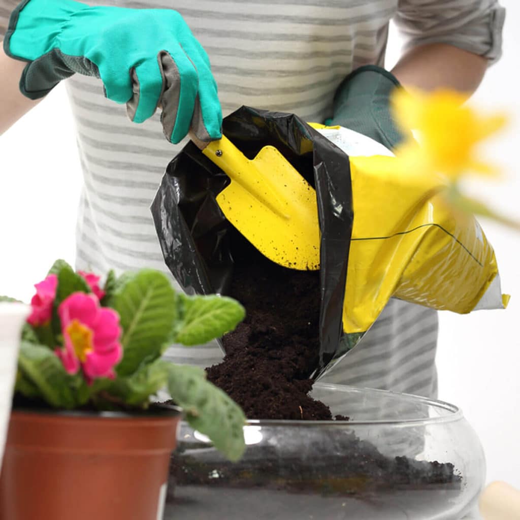 Przesadzanie kwiat&oacute;w