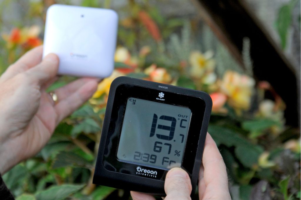 Termometr w ogrodzie