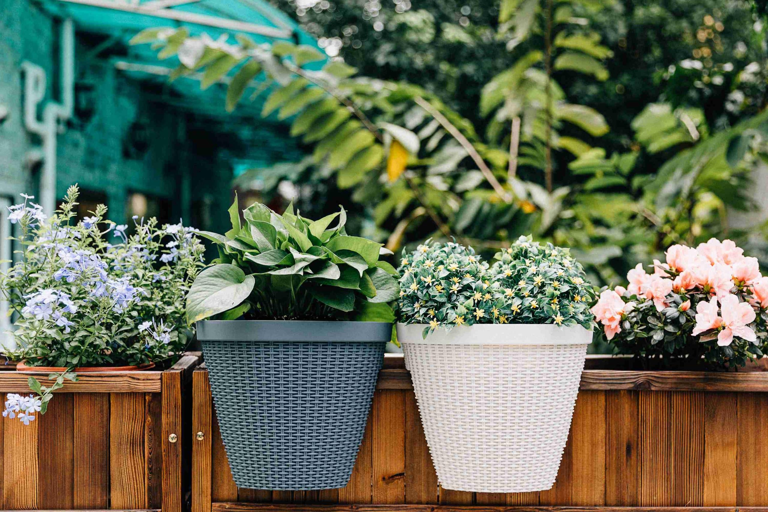 Plastikowe doniczki zawieszone na płocie