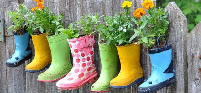 Doniczki z but&oacute;w