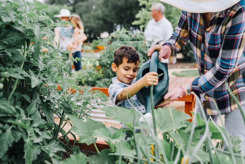 Chłopiec podlewa liście