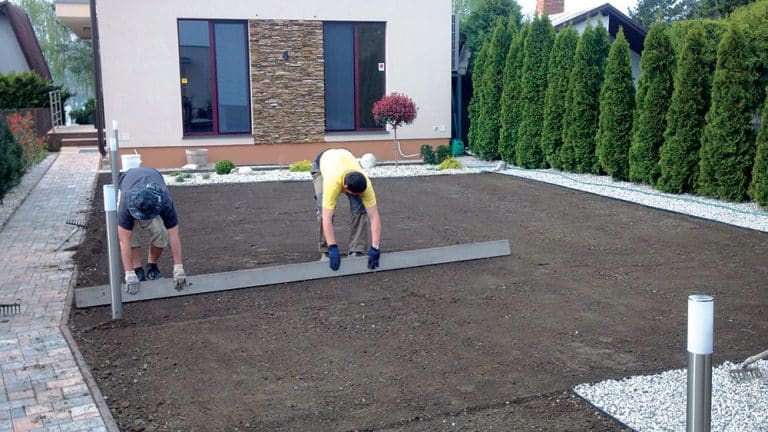 Dw&oacute;ch pan&oacute;w wyr&oacute;wnuje ziemię