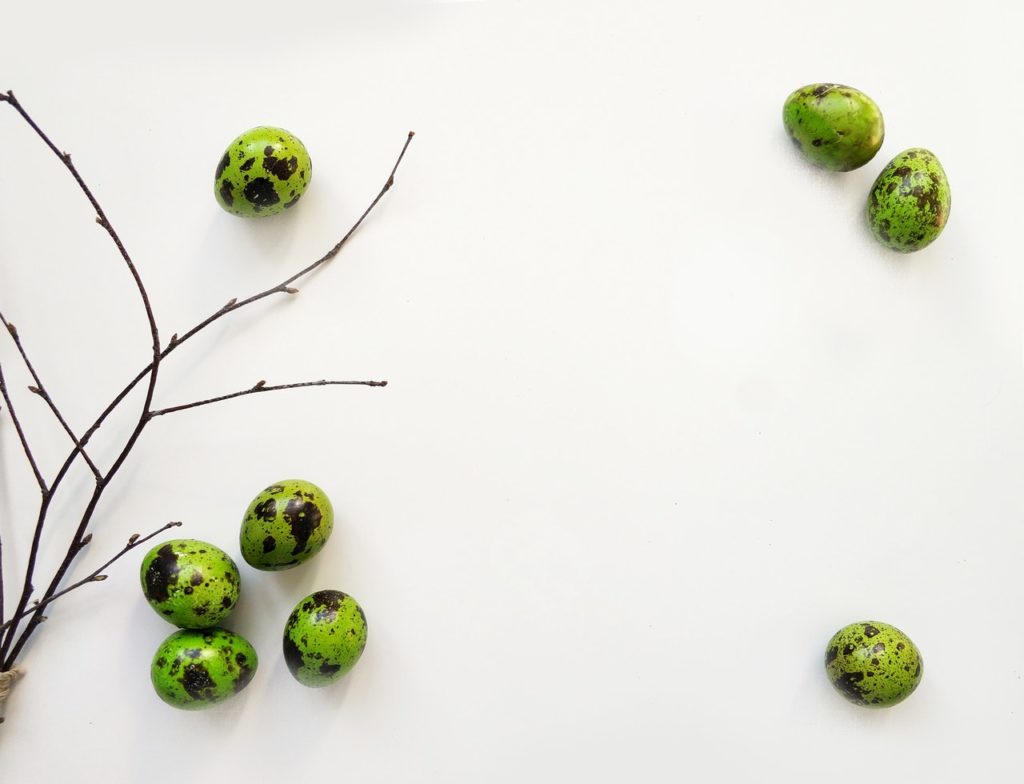 Zielone jajka