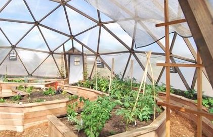 Ekskluzywna szklarnia