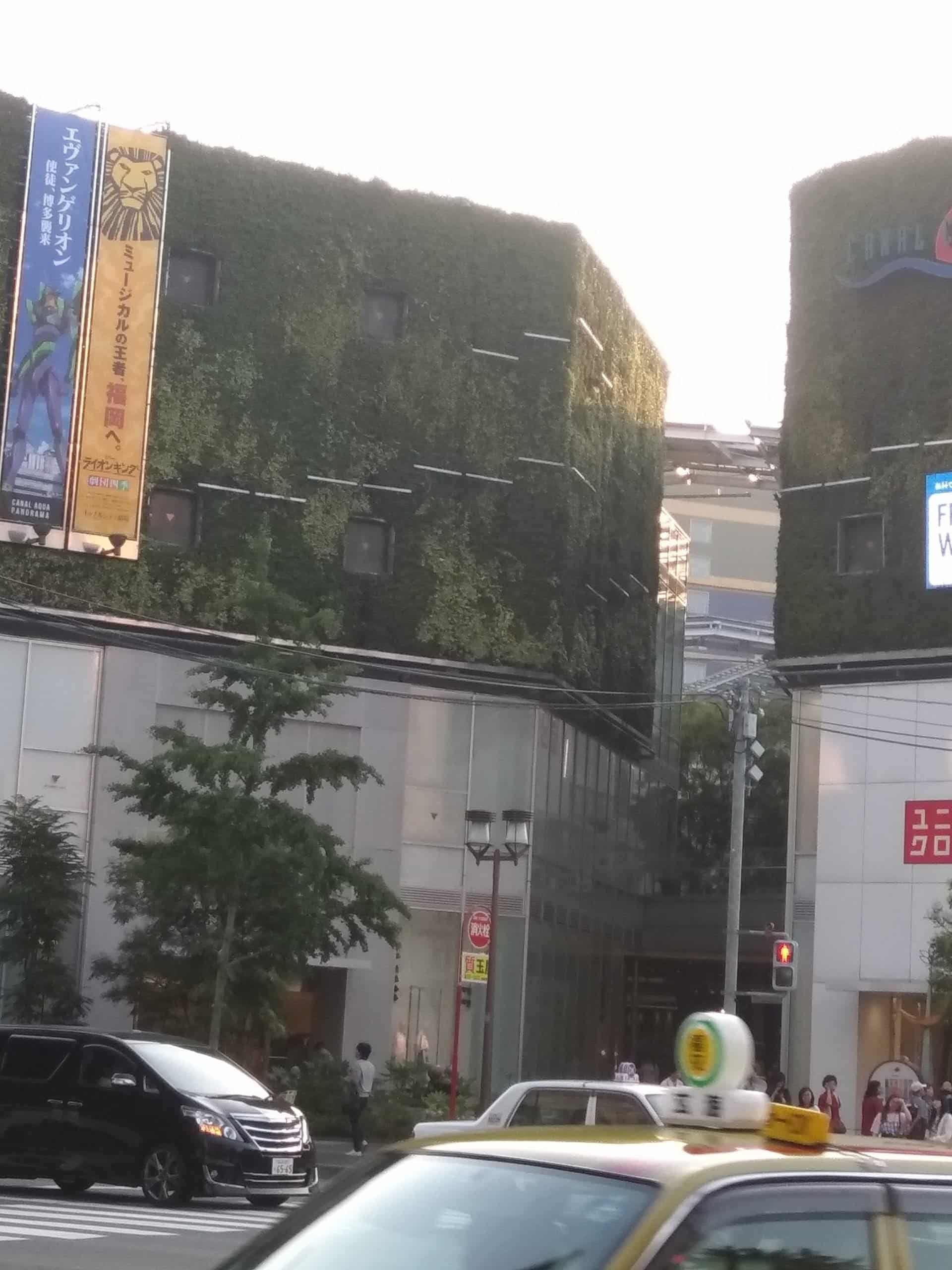 Ogrody wertykalne na budynku