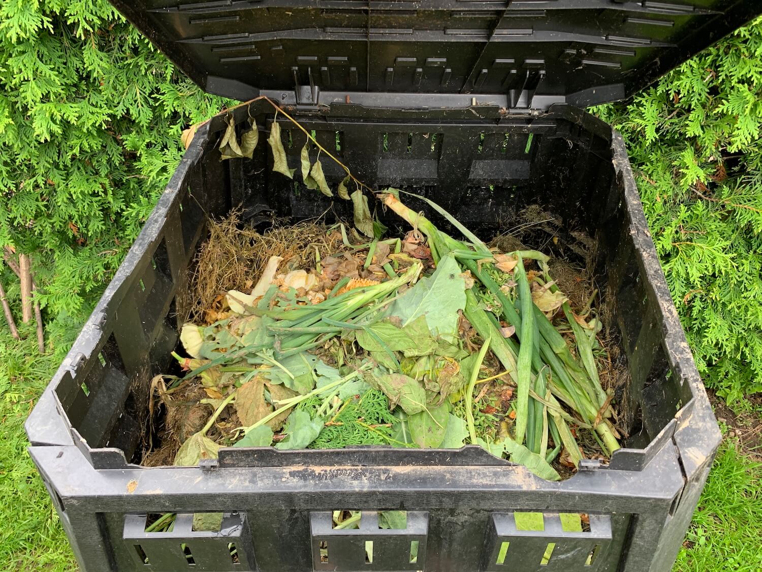 Odpady do kompostowania