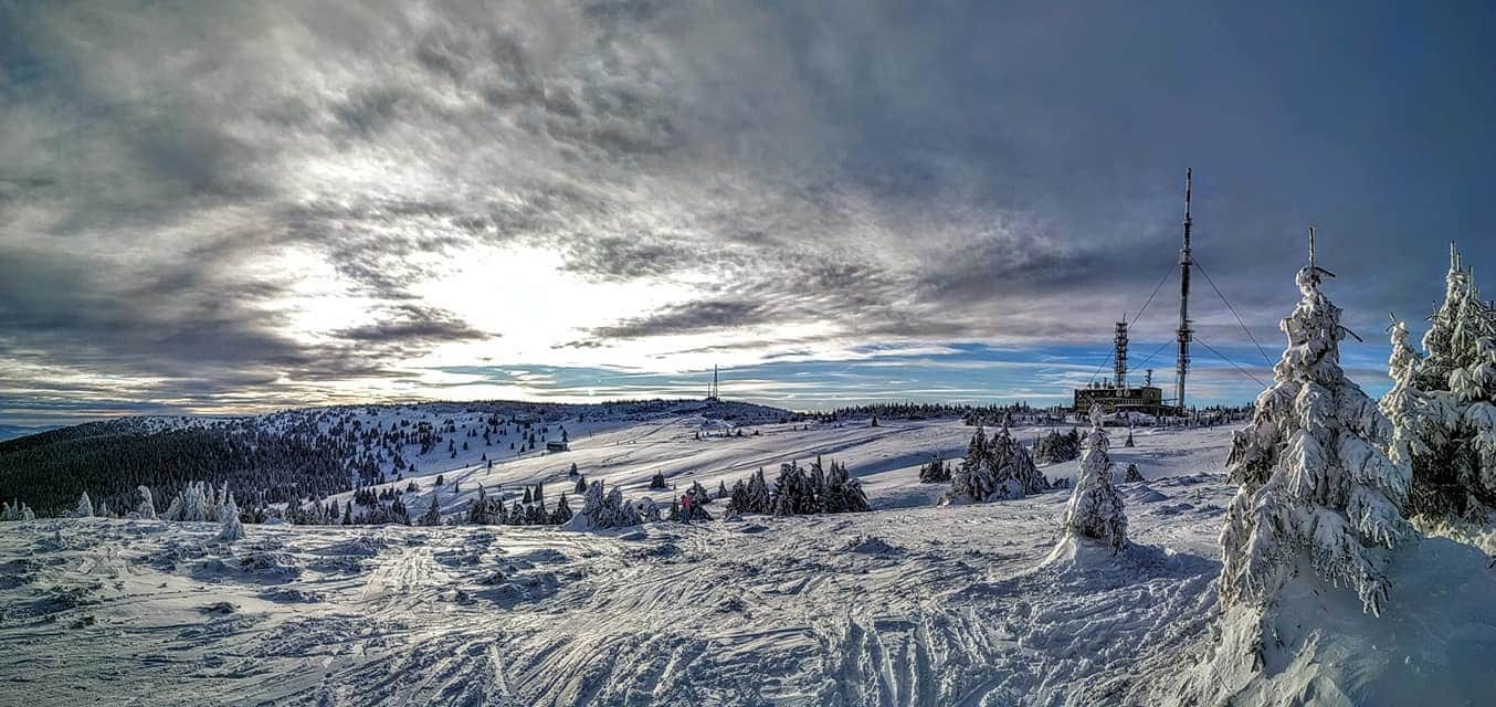 Winter Park Martinky