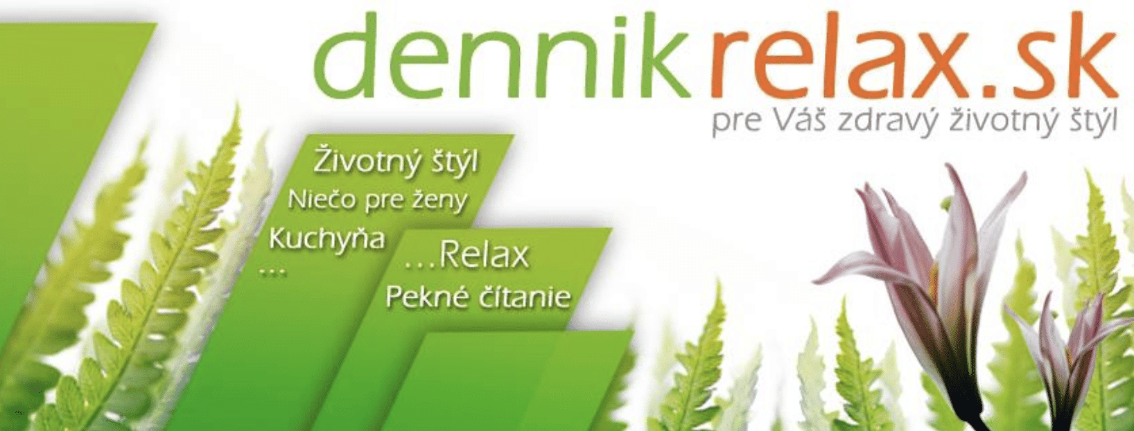Logo dennikrelax