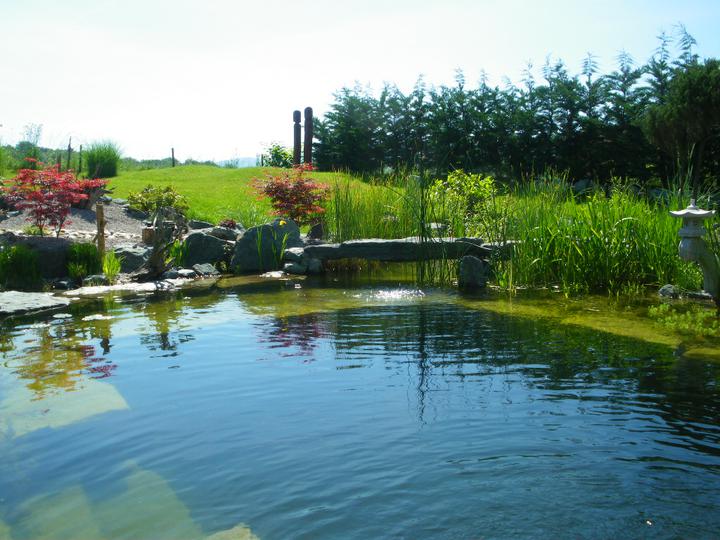 Jazierko na kúpanie na záhrade