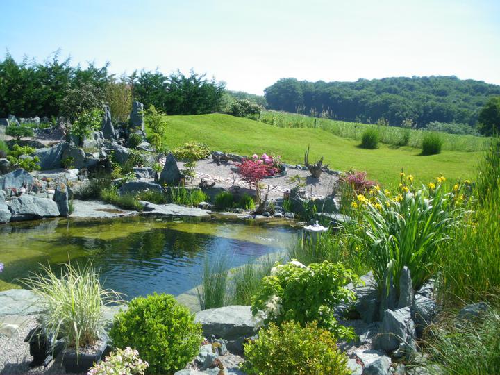 Kúpacie jazierko na záhrade