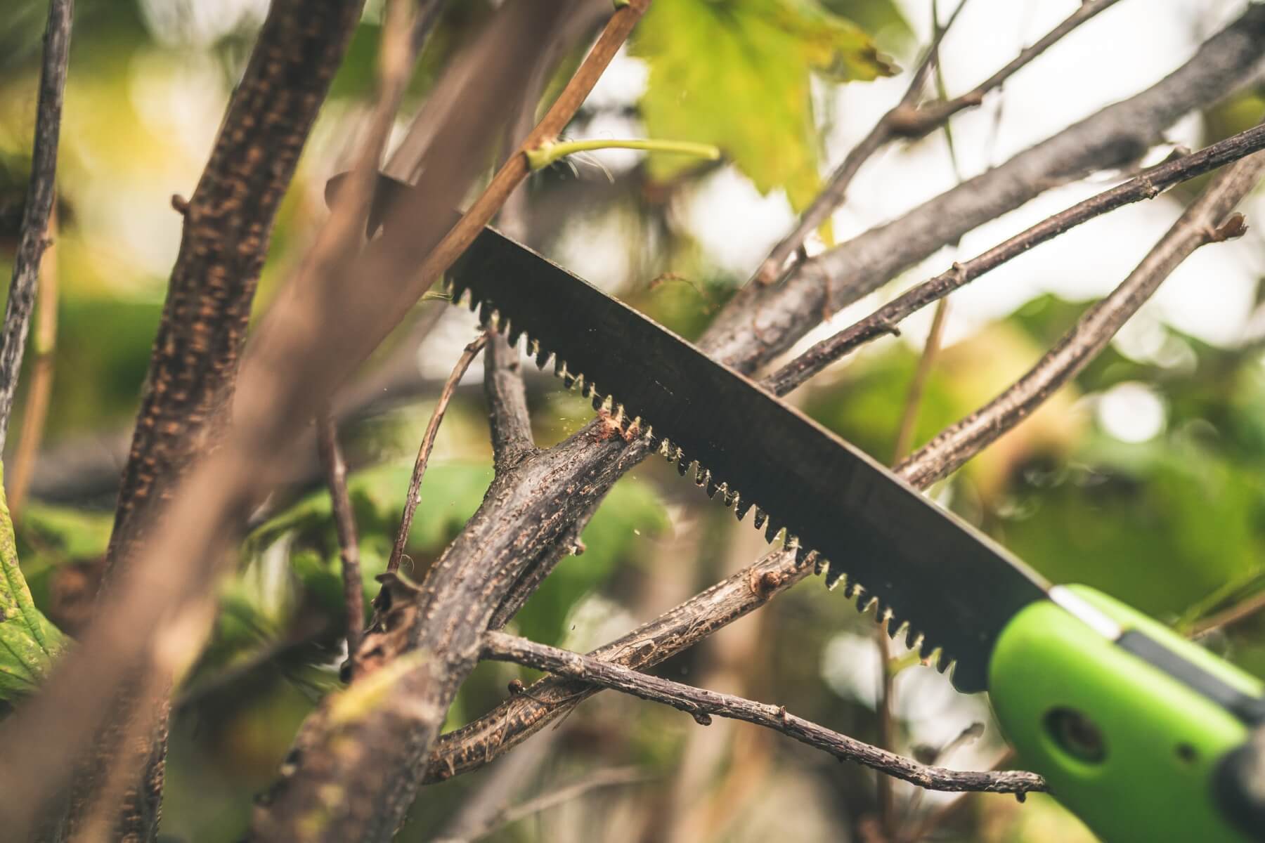 Řezání větve ruční pilkou.