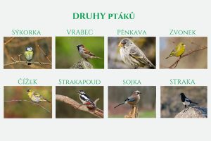 Různé druhy ptáků s obrázky.