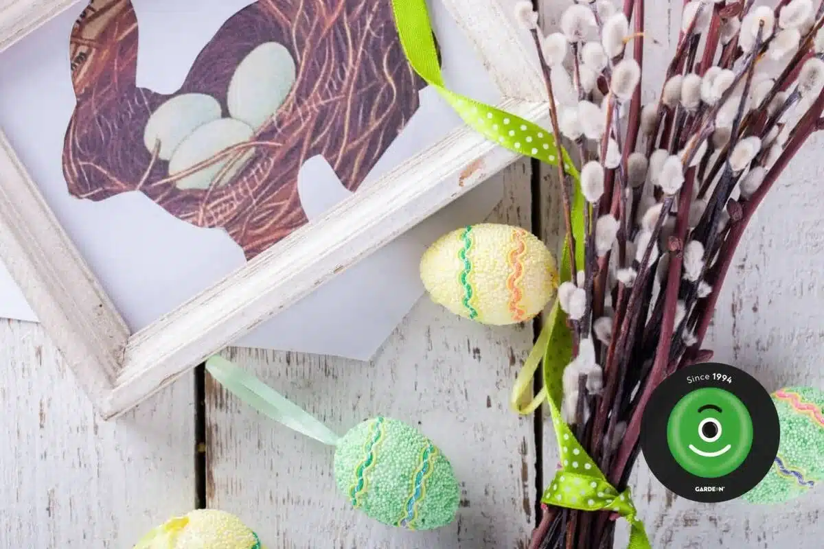 Kočičky sv&aacute;zan&eacute; barevnou stuhou do kytičky. 