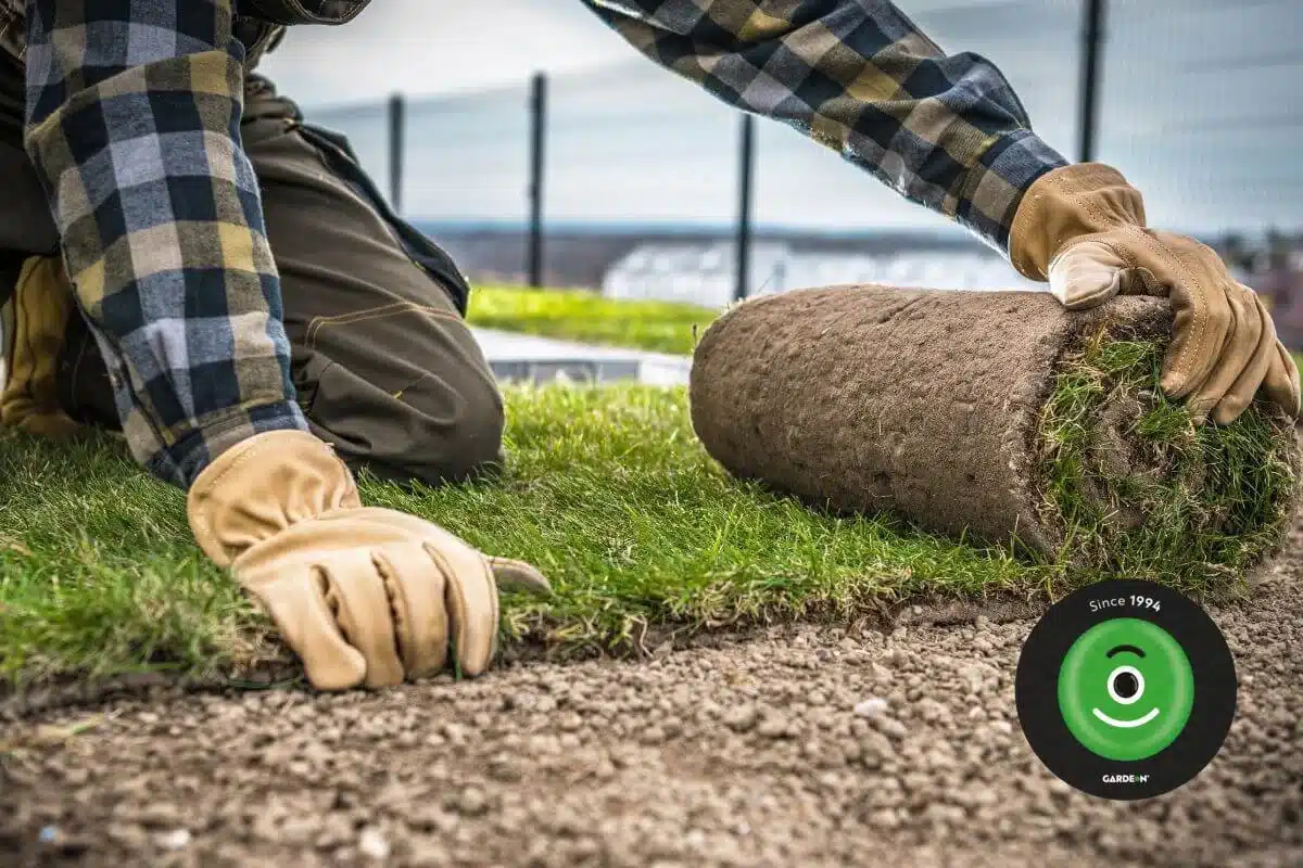 Muž v pracovních rukavicích pokládá čerstvě nařezaný kobercový trávník.