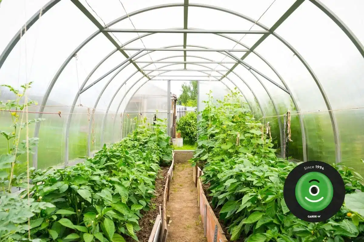 Interiér plastového zahradnického skleníku.