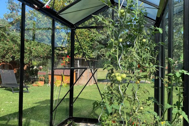 Vnútro skleníka s ovocím