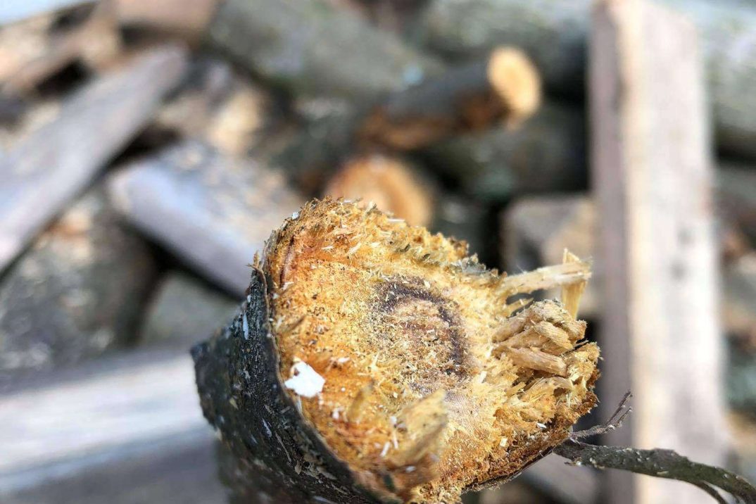 Malý kúsok odštiepeného dreva