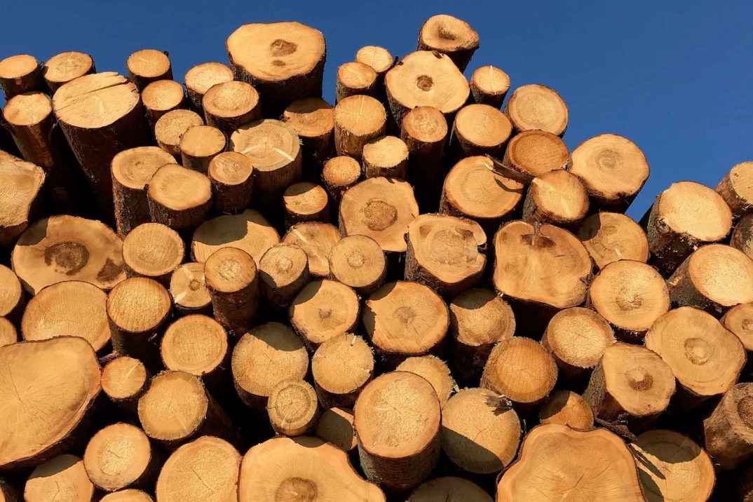 Kopa napíleného dreva