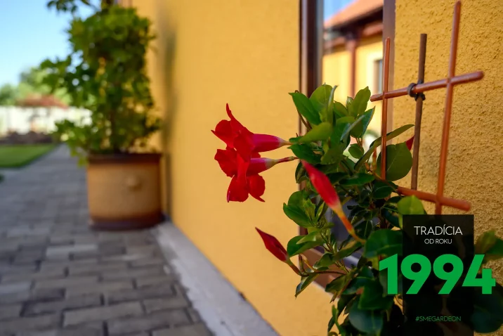 Rostliny při atypické stavbě v žluté omítce