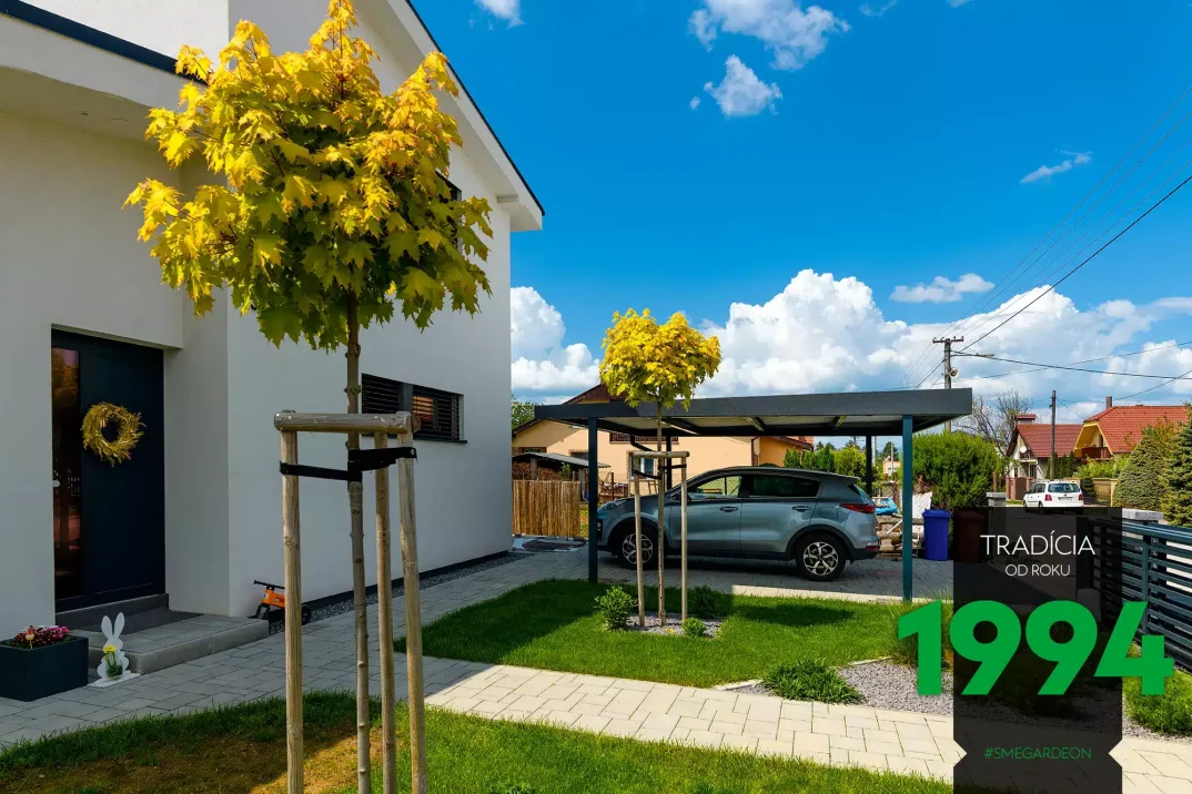 Auto na zahradě pod přístřeškem