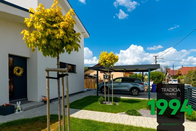 Auto na zahradě pod přístřeškem