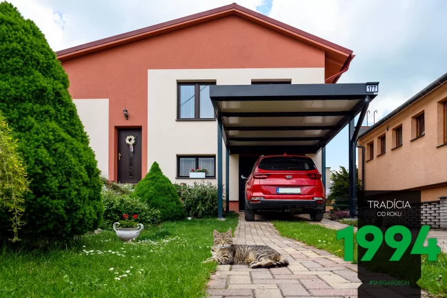 Kočka před přístřeškem a autem