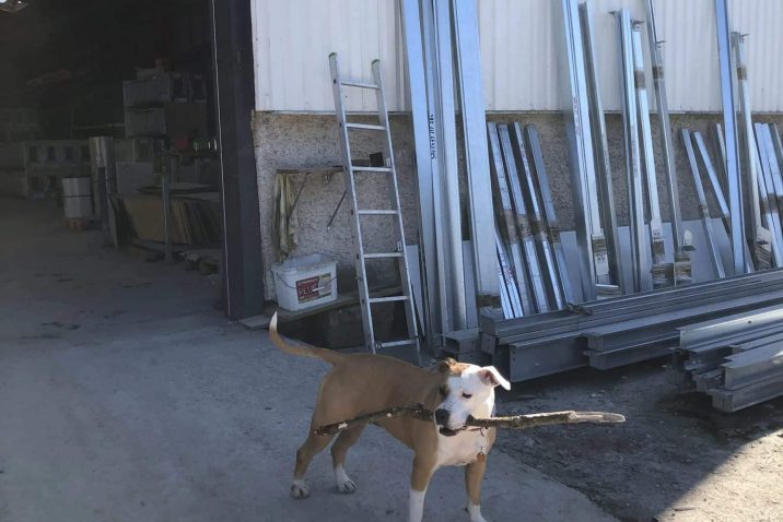 Lara s holí před skladem