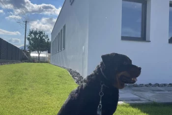 Atos na trávníku před GARDEONEM