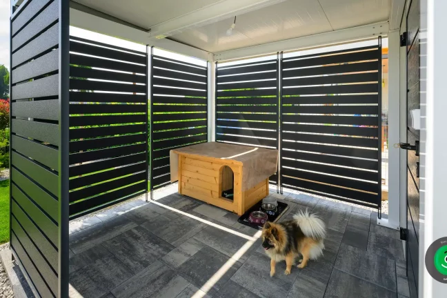 malý pes v přístřešku vedle zahradního domku