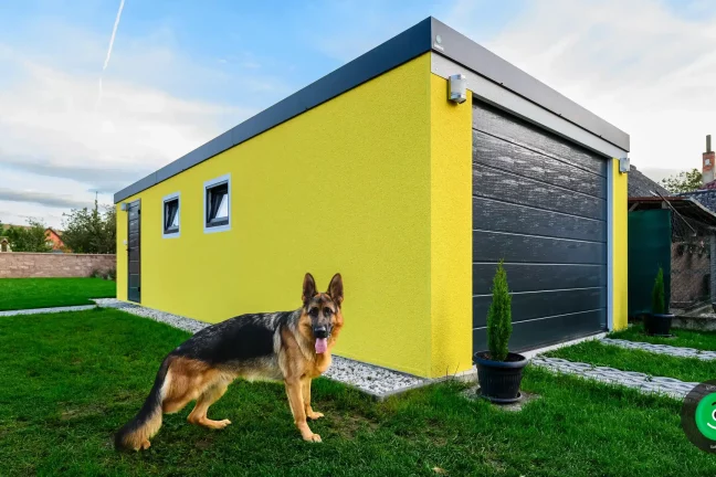 pes u žluté garáže