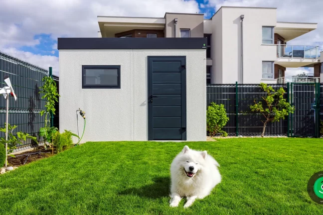 bílý krásný pes před zahradním domečkem