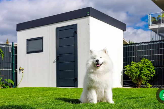 usmívající pes před zahradním domkem