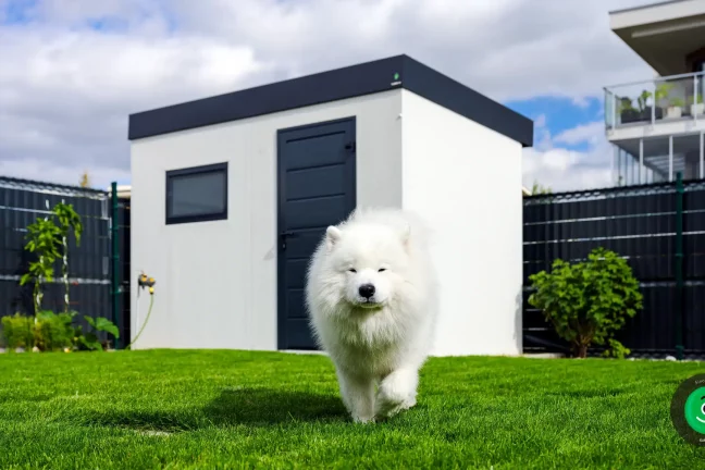 pes vyfocený se zahradním domkem