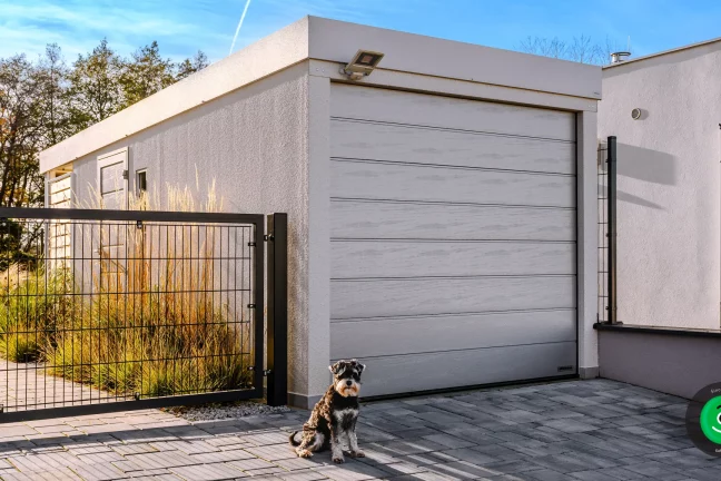 čieny pes před garáží pro jedno auto