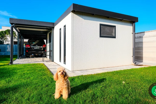 malý krásný pejsek před gardeon stavbou