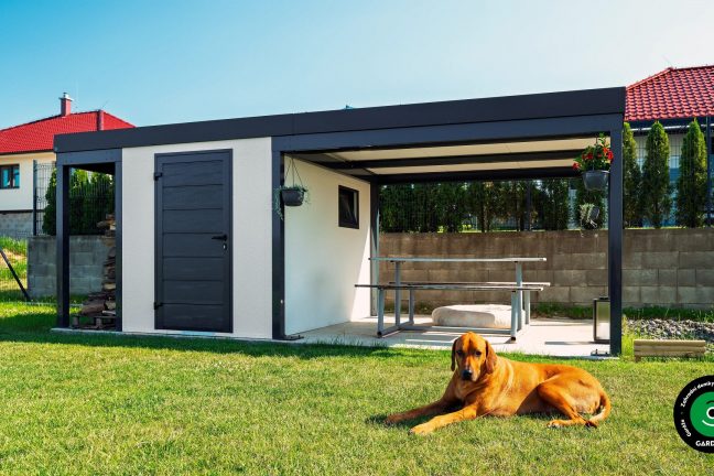 Krásný pejsek před zahradním domkem s přístřeškem