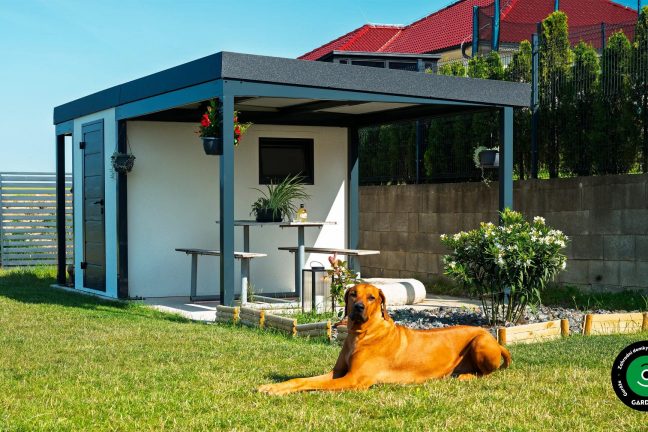 Pes vedle zahradního domku s přístřeškem