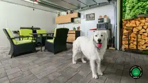 Domek ogrodowy z nowoczesnymi bramami garażowymi i kuchnią.