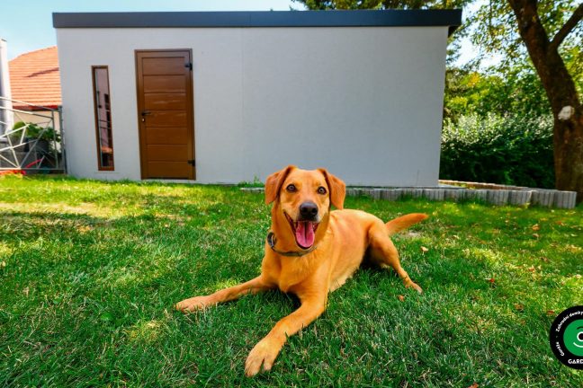 Pes leží na trávě před moderní garáží se vstupními dveřmi.